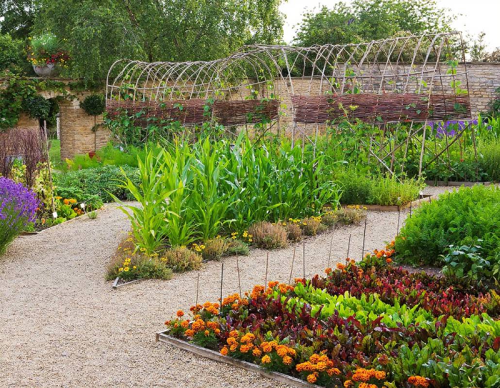 Nice Kitchen Garden