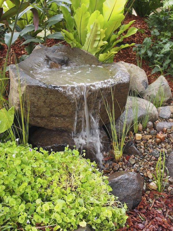 Cheap But Charming Mini Water Garden Ideas