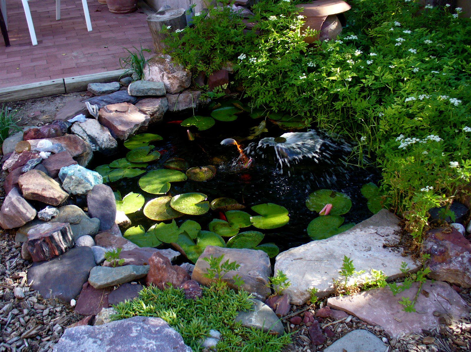 A Unique Garden