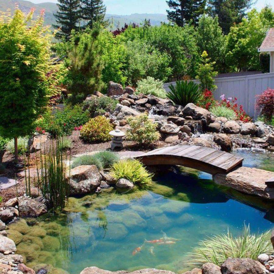 Inspiring Diy Small Pond Designs