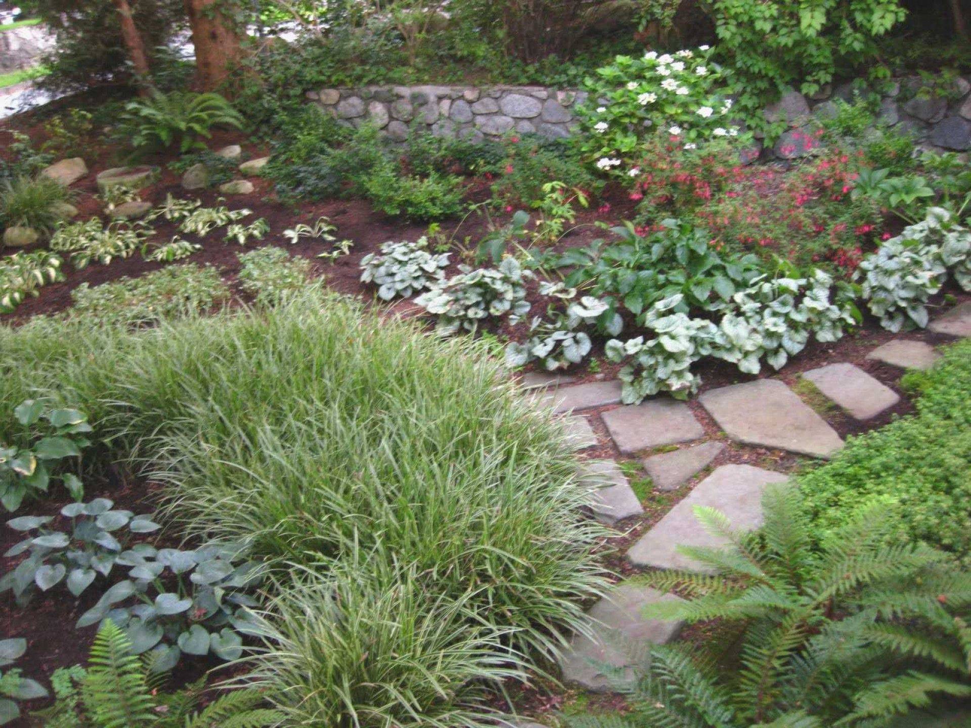 Shade Garden Design Ideas