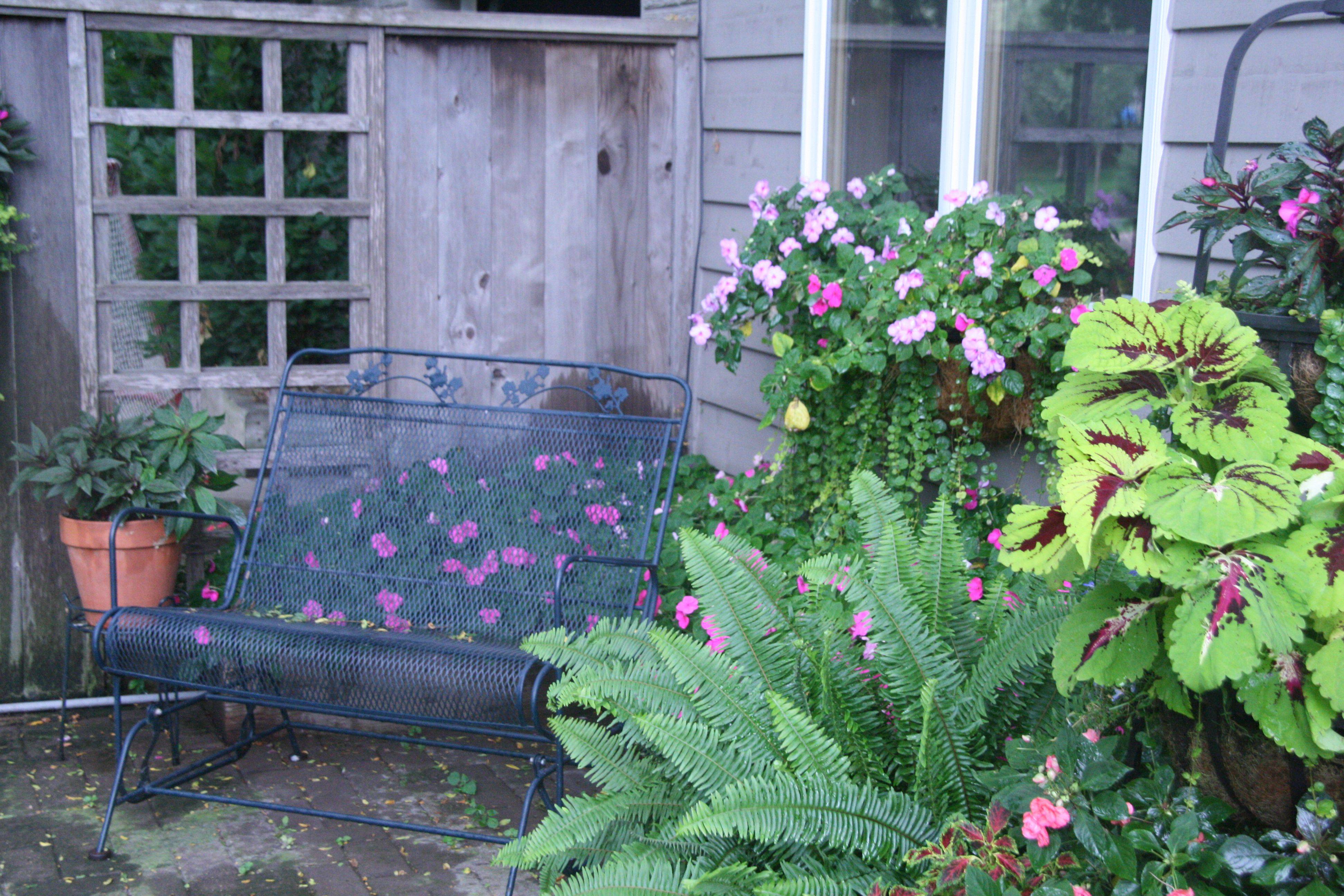 Shady Backyard Ideas