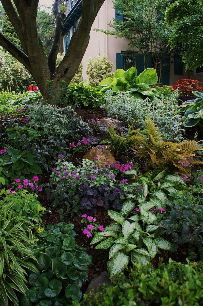 Semi Shady Corner Garden Ideas