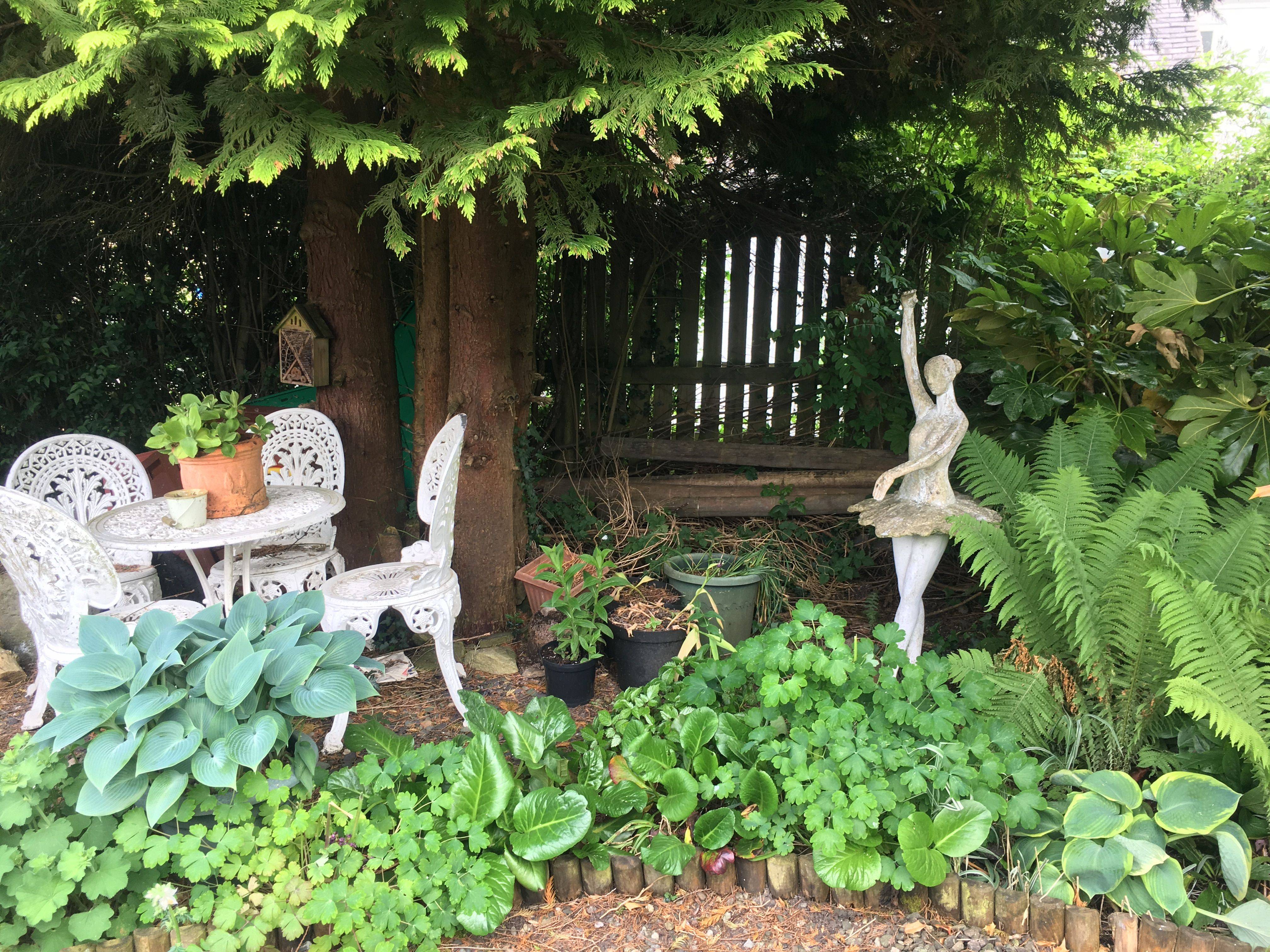 Shady Corner Landscaping Ideas