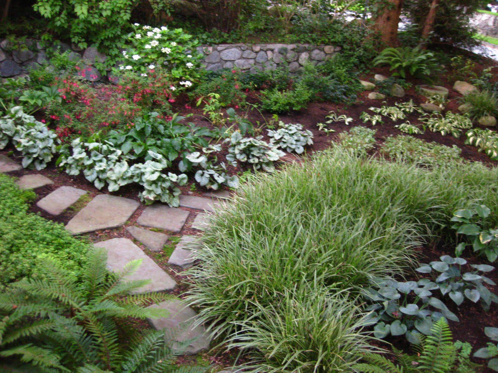 Corner Shade Garden