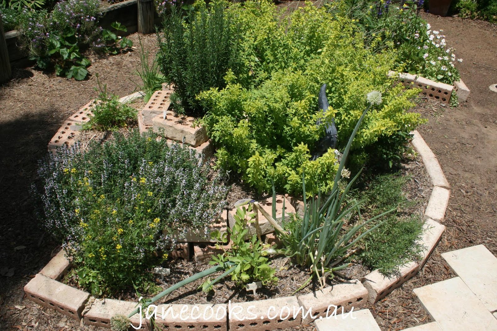 Interesting Diy Herb Gardens
