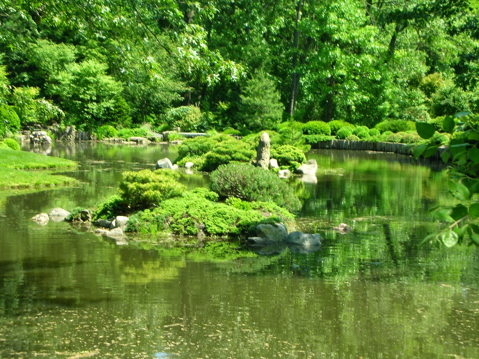 Natural Korean Garden Style Japanese Water Garden
