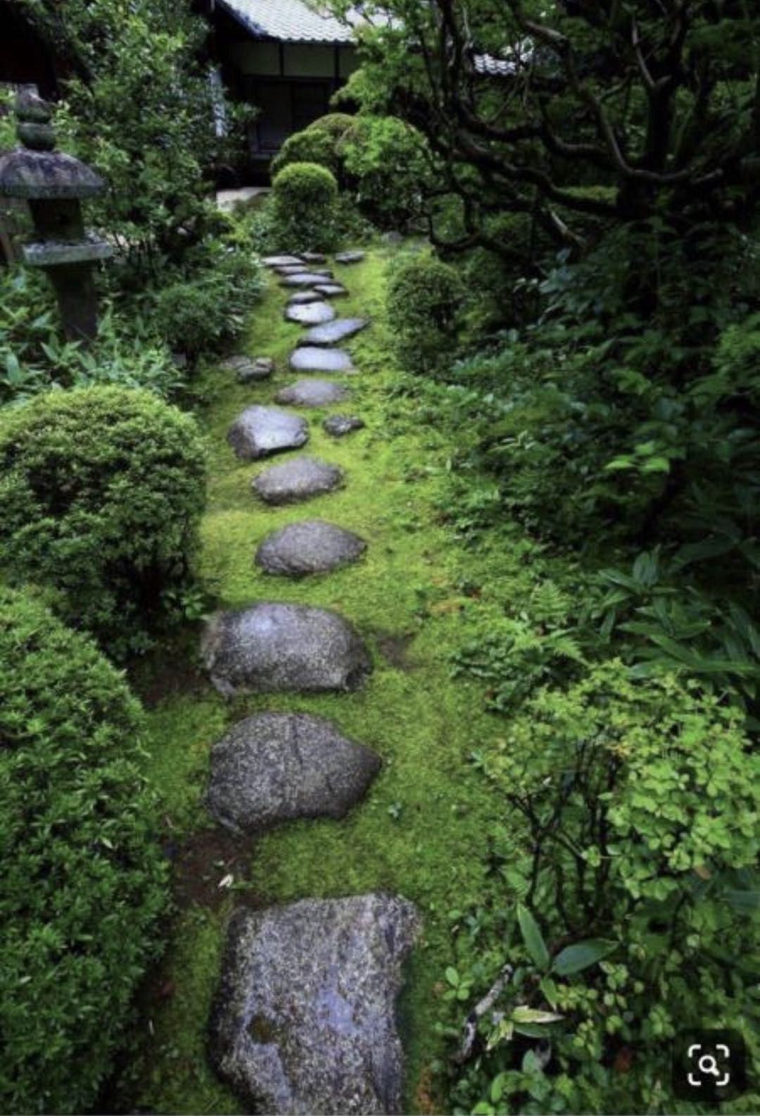 Amazing Japanese Gardens