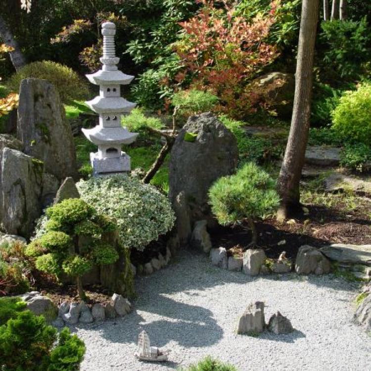 Amazing Japanese Gardens
