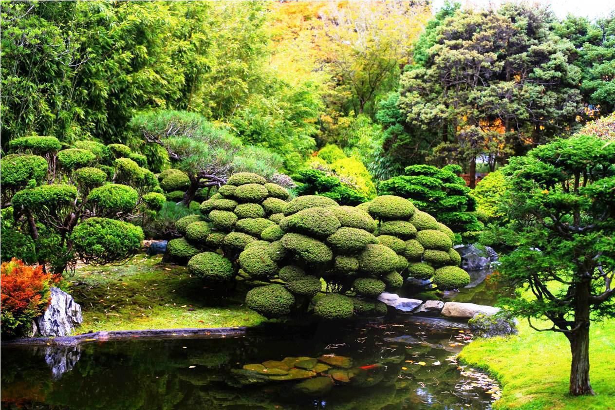 Awesome Japanese Garden Design Ideas Homyhomee