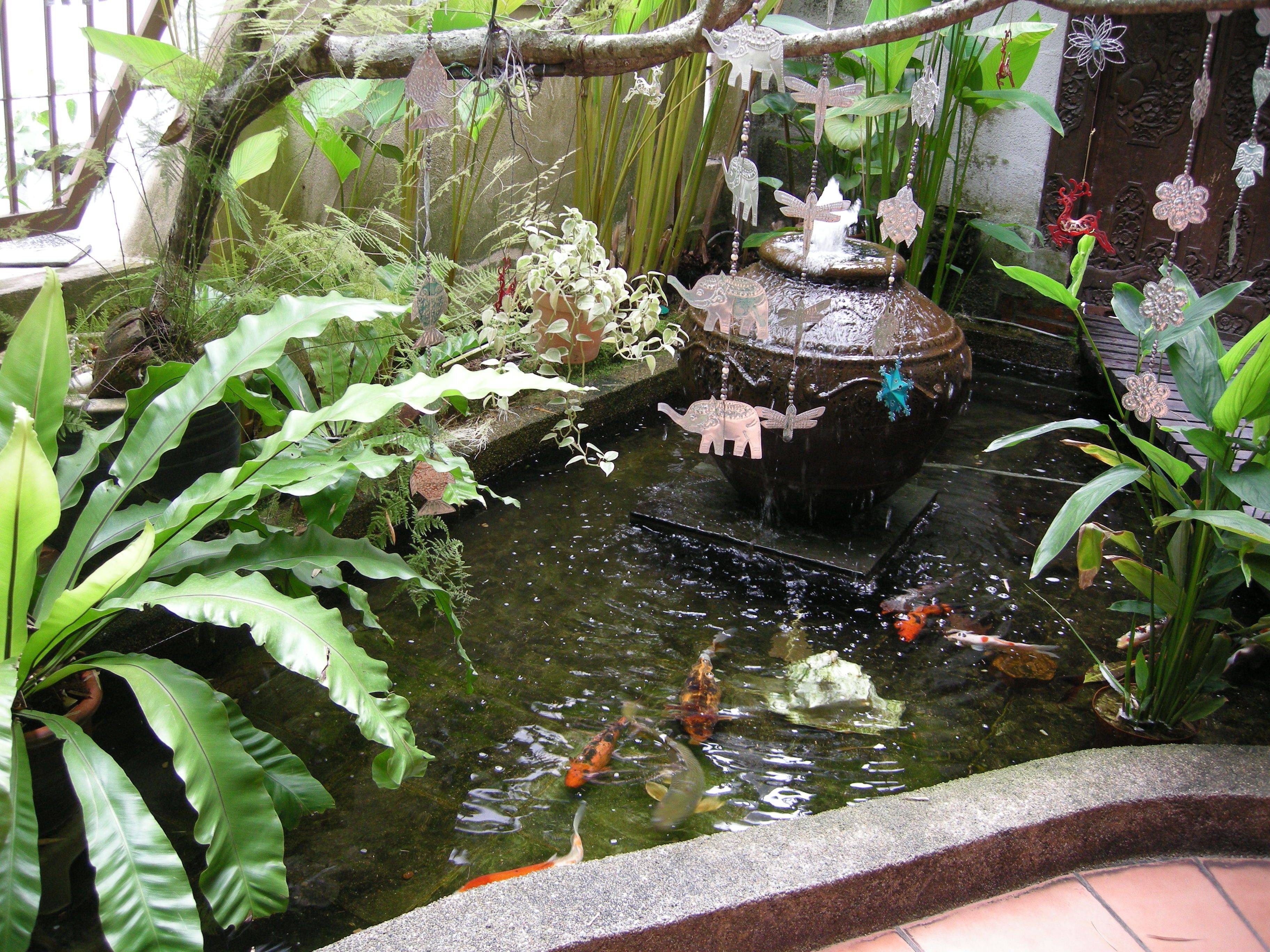 Japanese Garden Landscape