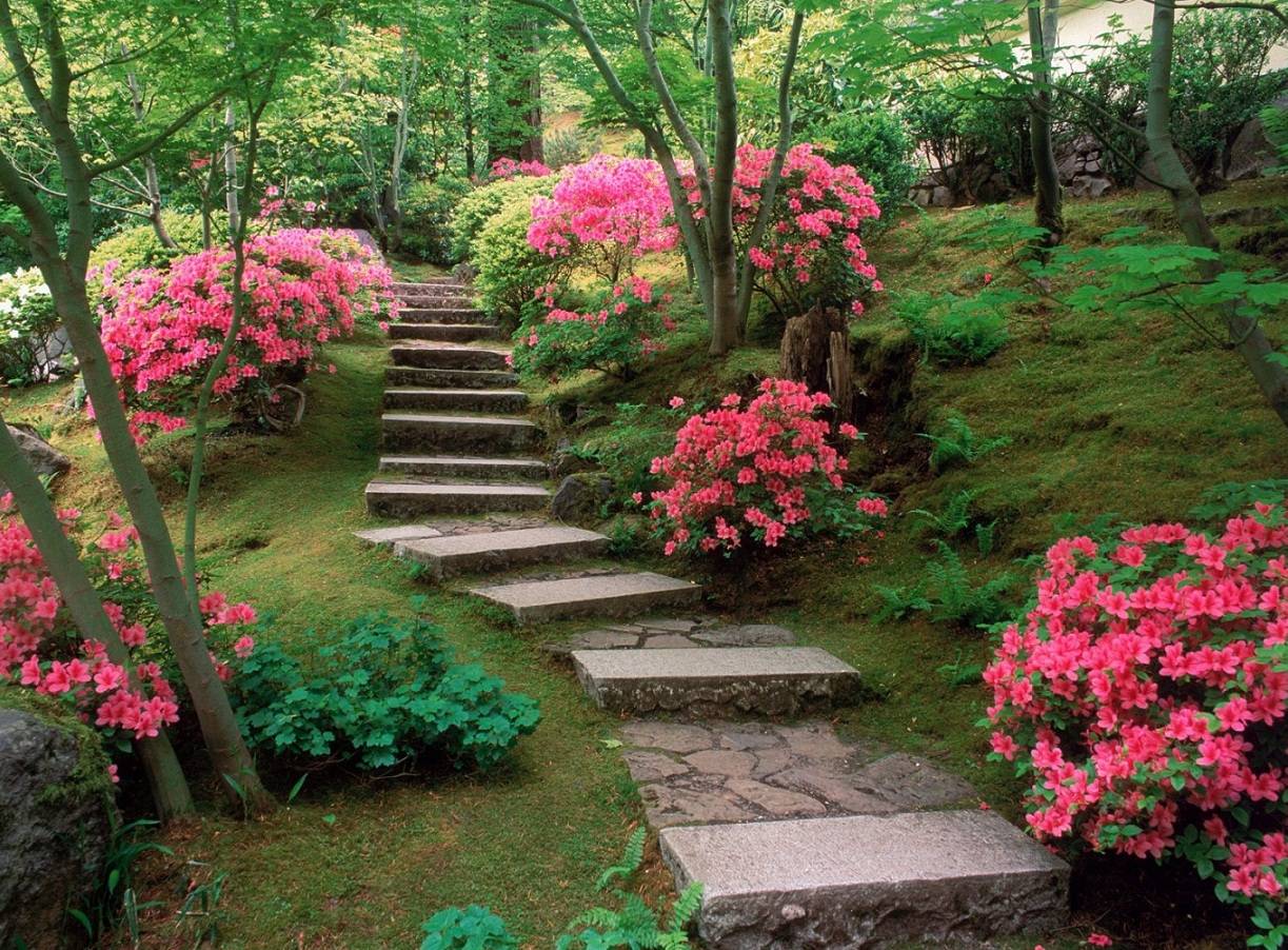 Japanese Garden Waterfall Idea Japanese Water Gardens