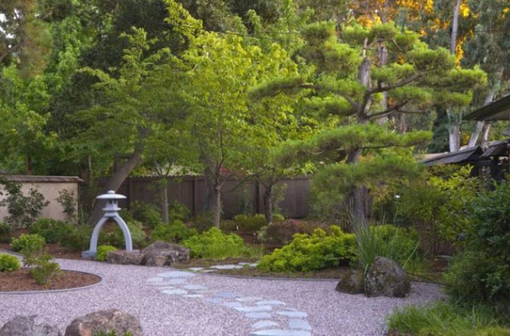 Japanese Themed Gard