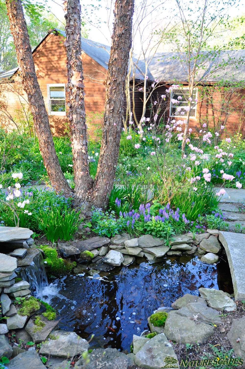 Beautiful Backyard Frugal Living