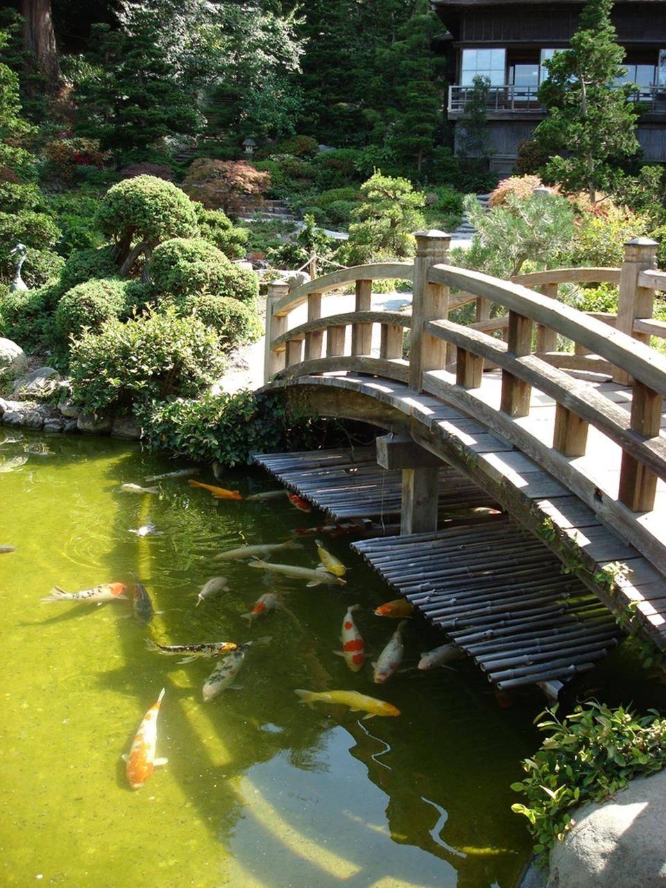 Cool Fish Pond Garden Landscaping Ideas