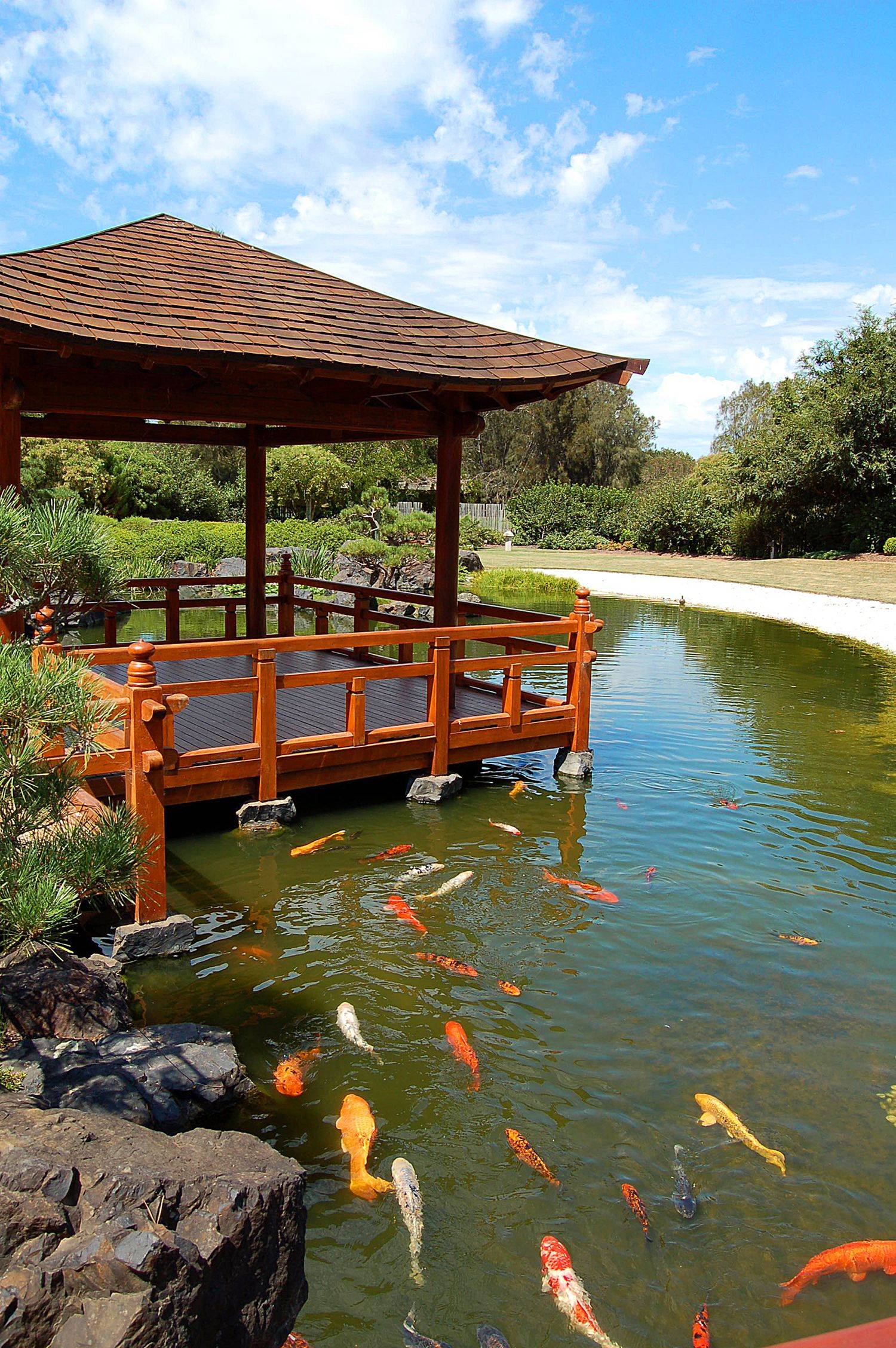 Sublime Koi Pond Designs