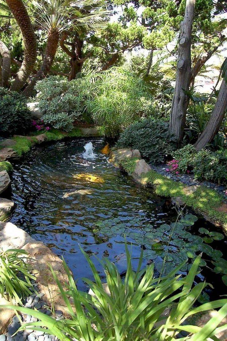 Traditional Japanese Koi Pond