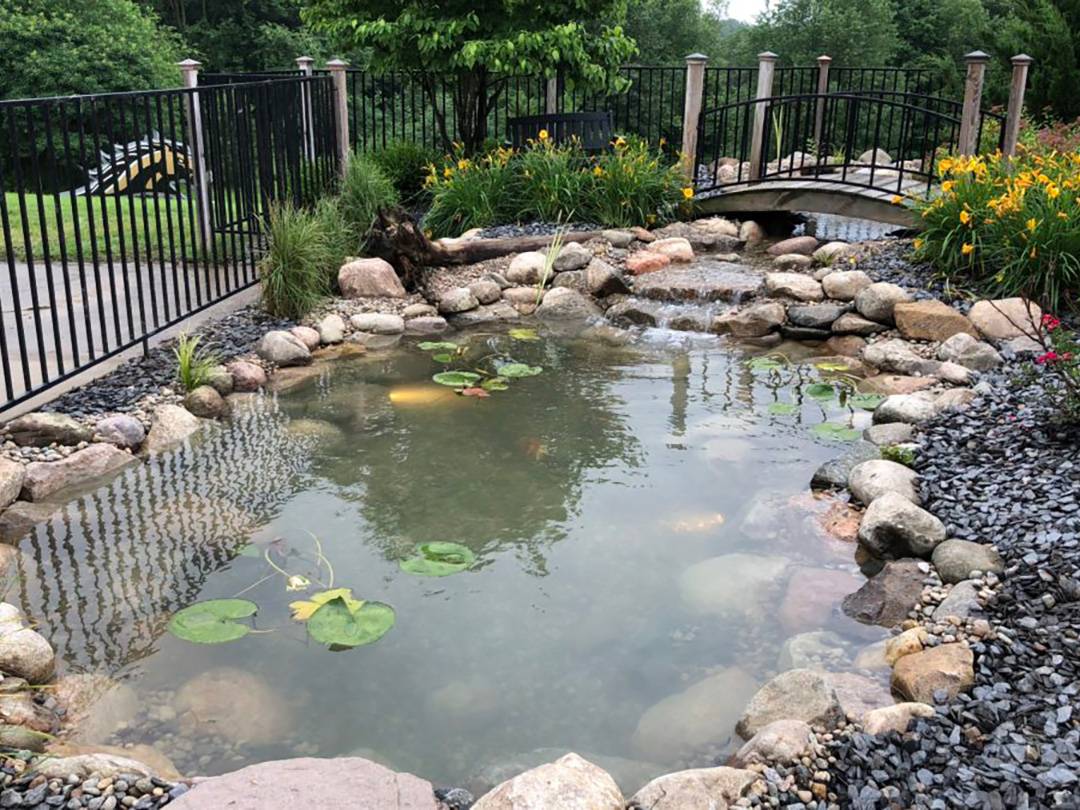 A Unique Garden