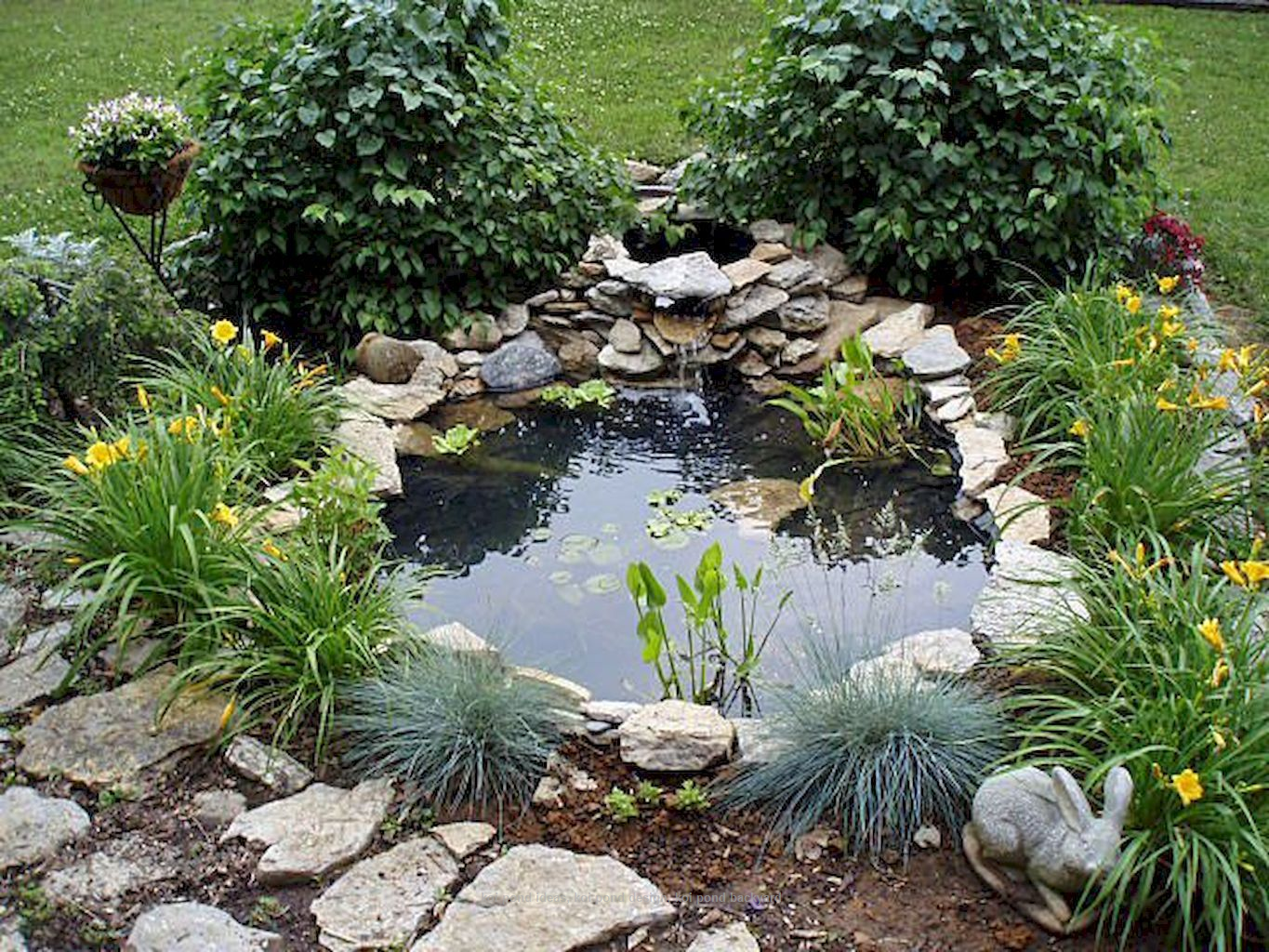 A Unique Garden