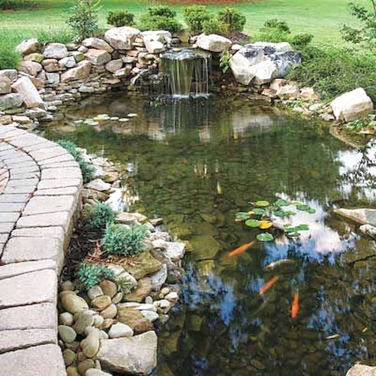 A Unique Garden