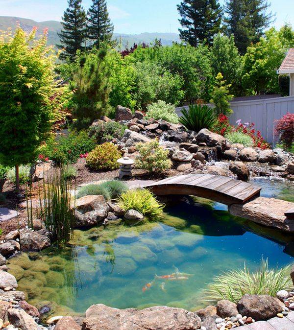 Lovely Backyard Koi Ponds Ideas Home