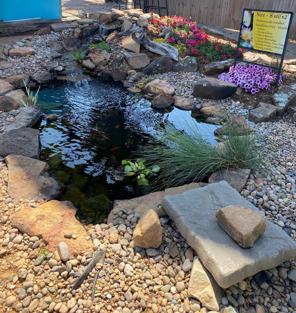 Ground Patio Pond Backyard Summer Small Fish