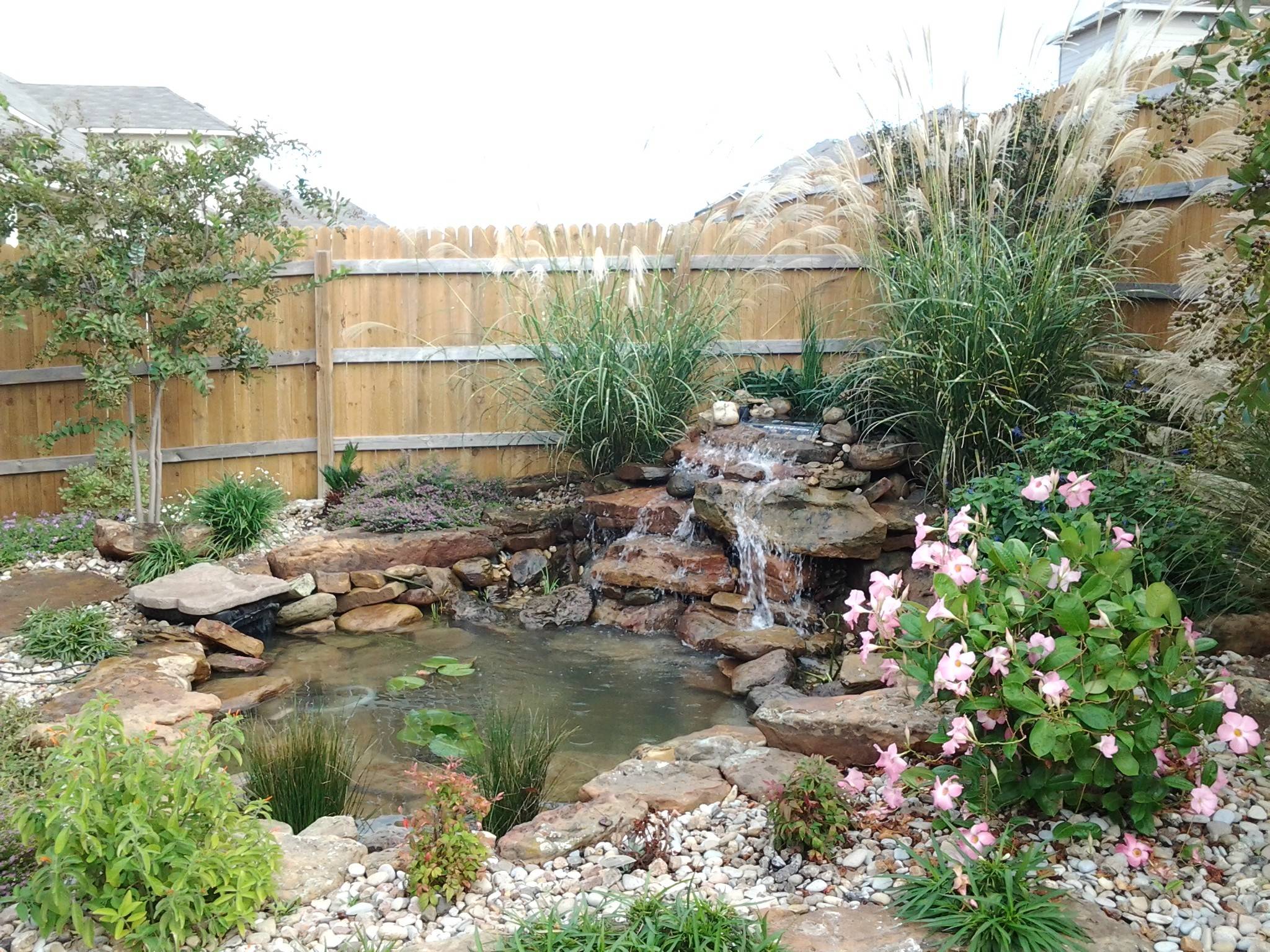 Backyard Koi Pond Design Platinum Ponds