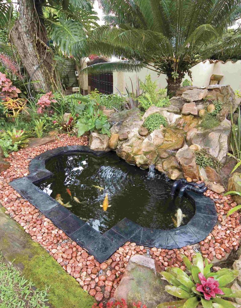 Koi Pond Wallpaper