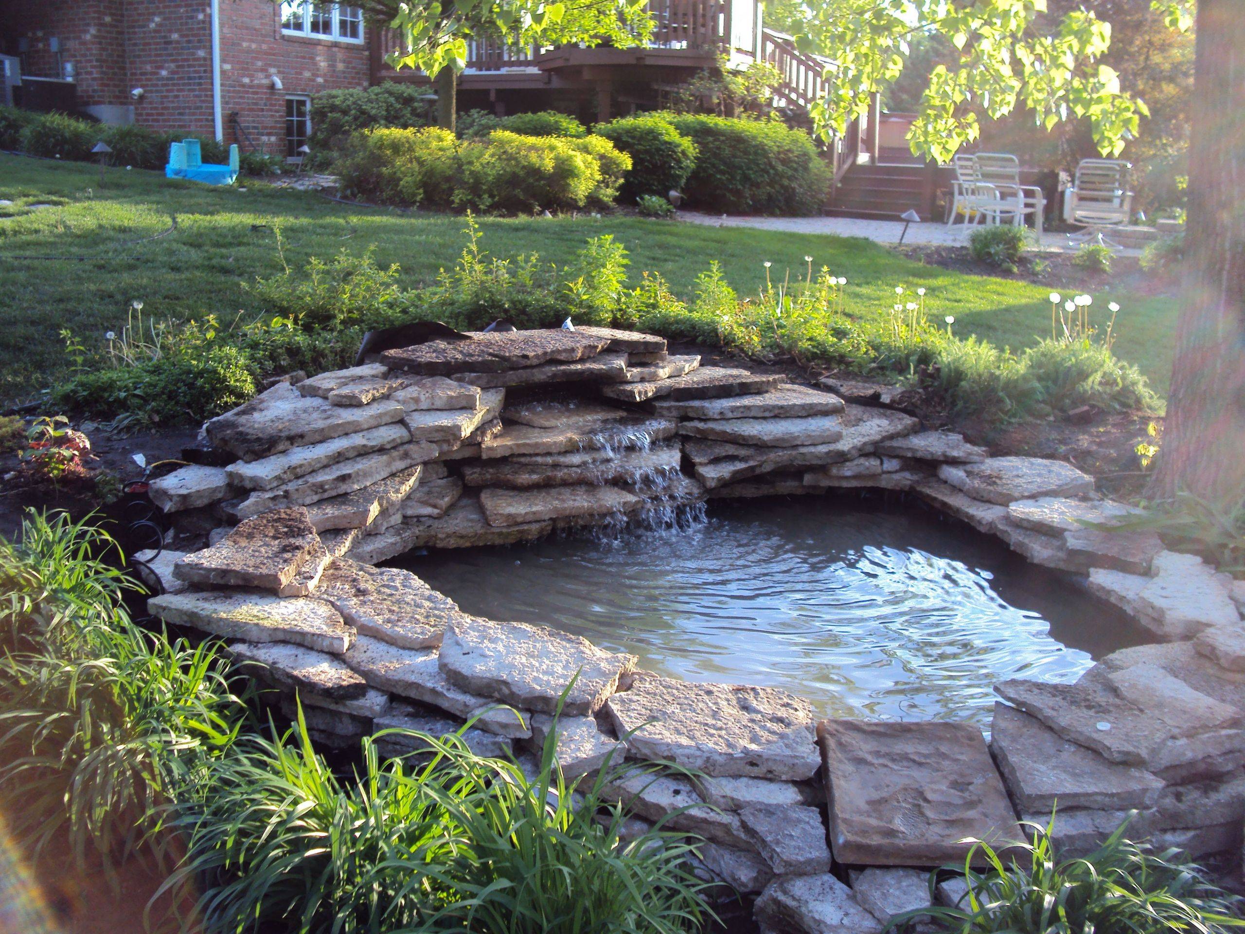 Patio Pond Backyard Koi Awesome