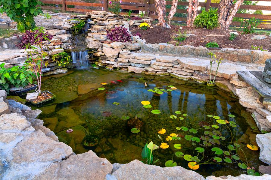 Small Garden Pond Ideas