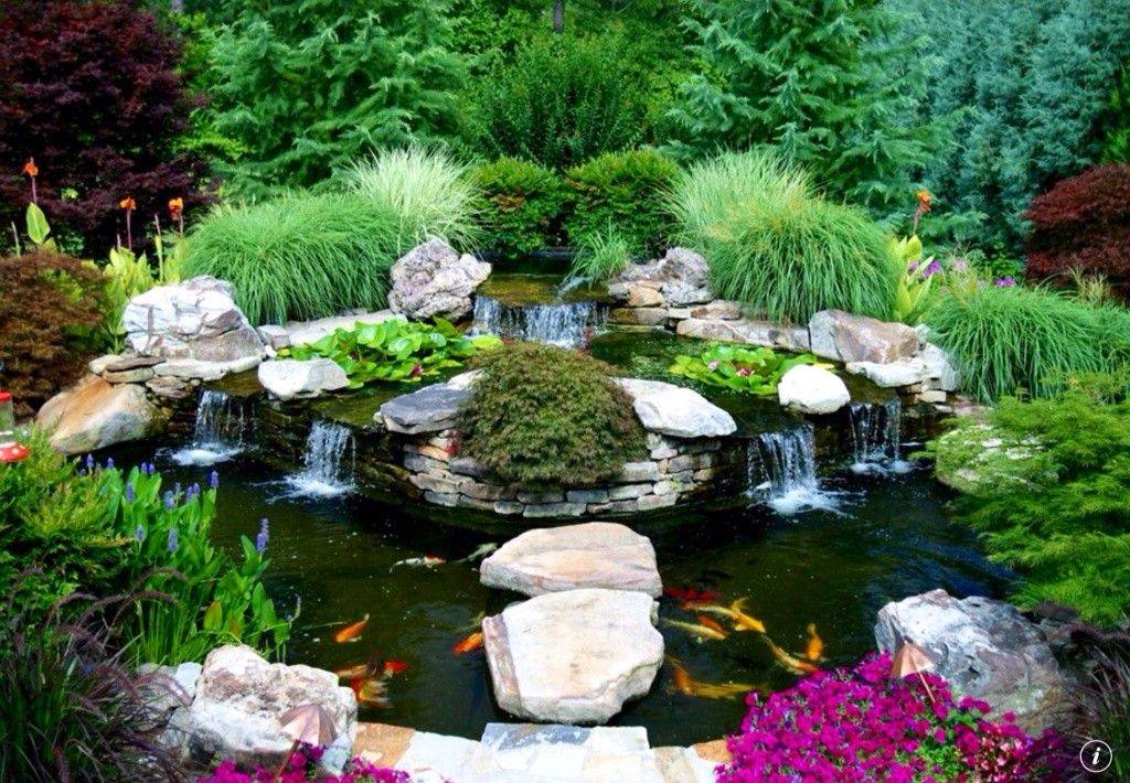 Your Gardens Koi Ponds