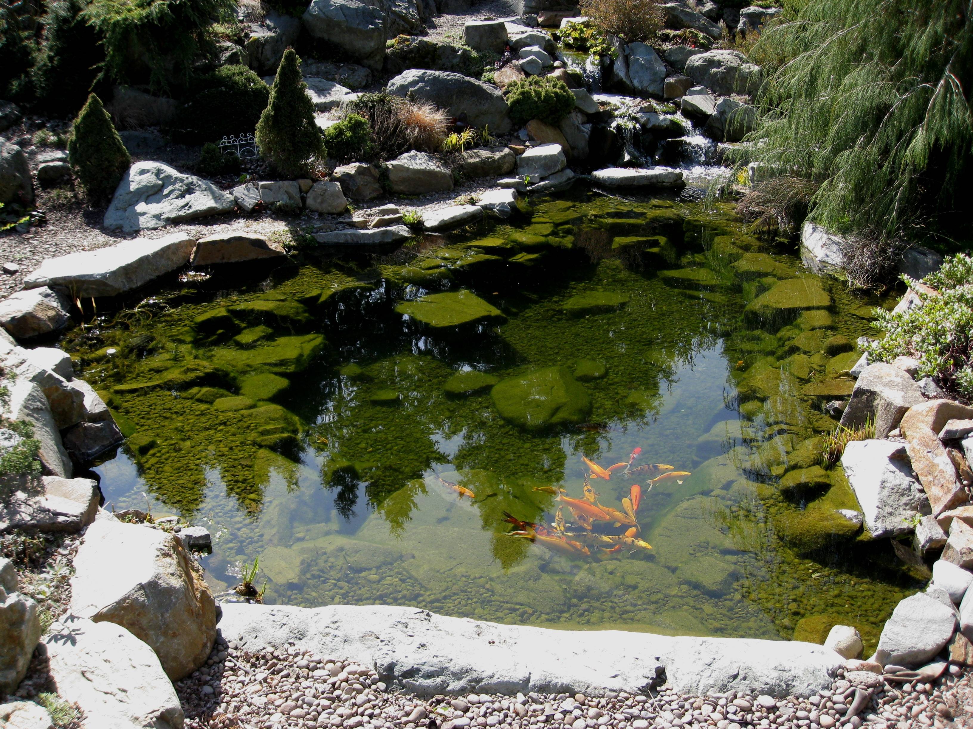 Sublime Koi Pond Designs