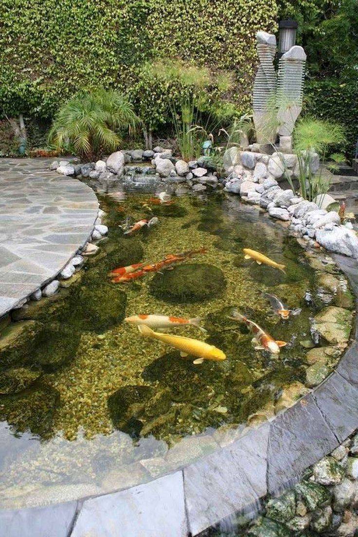 Koi Pond Japanese Garden Wjdesignshost