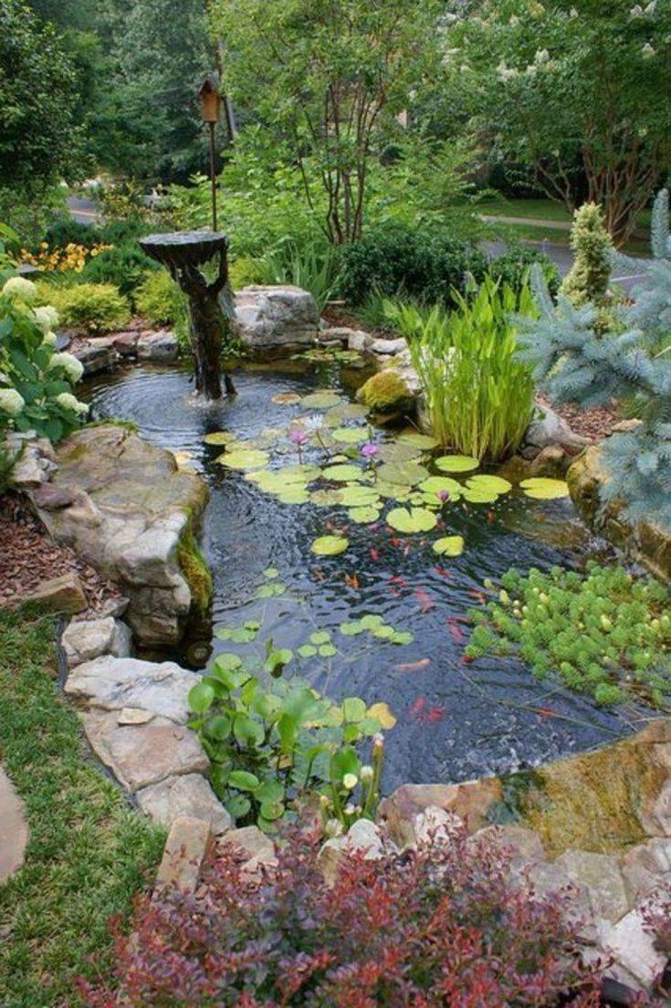 Naturalbackyardpondgardenideas