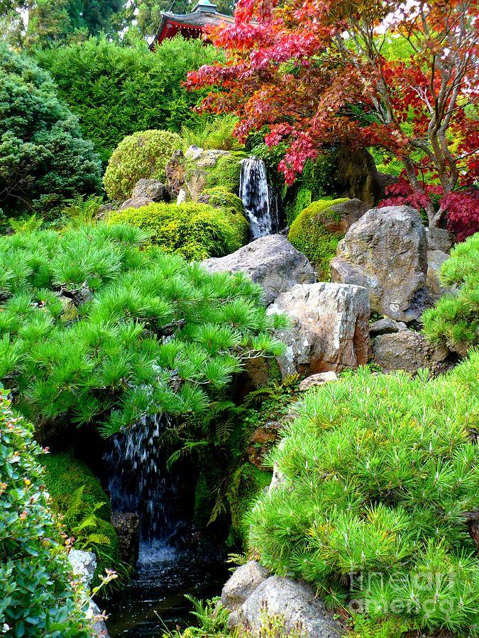 The Japanese Garden