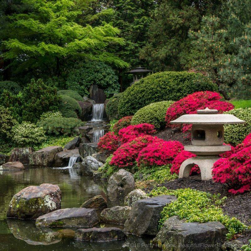 Japanese Gardens