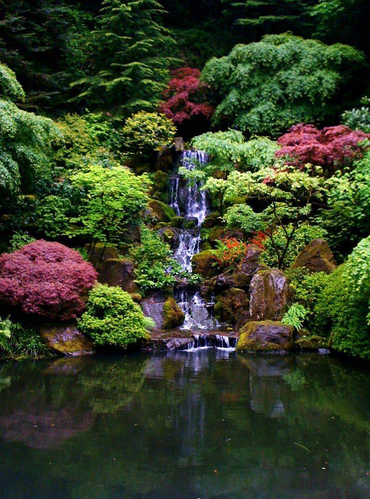 The Shofuso Japanese Garden Beautiful Flower Pictures
