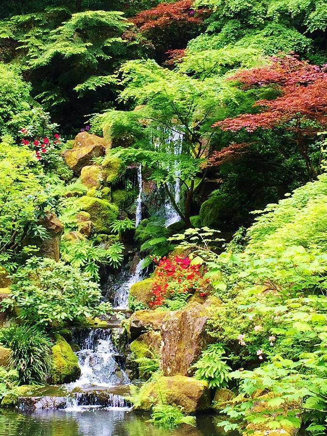 Japanese Garden Waterfall
