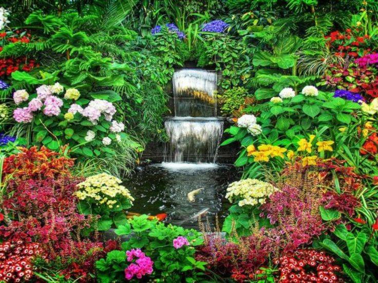 Japanese Garden Waterfall Photo Richard Chu