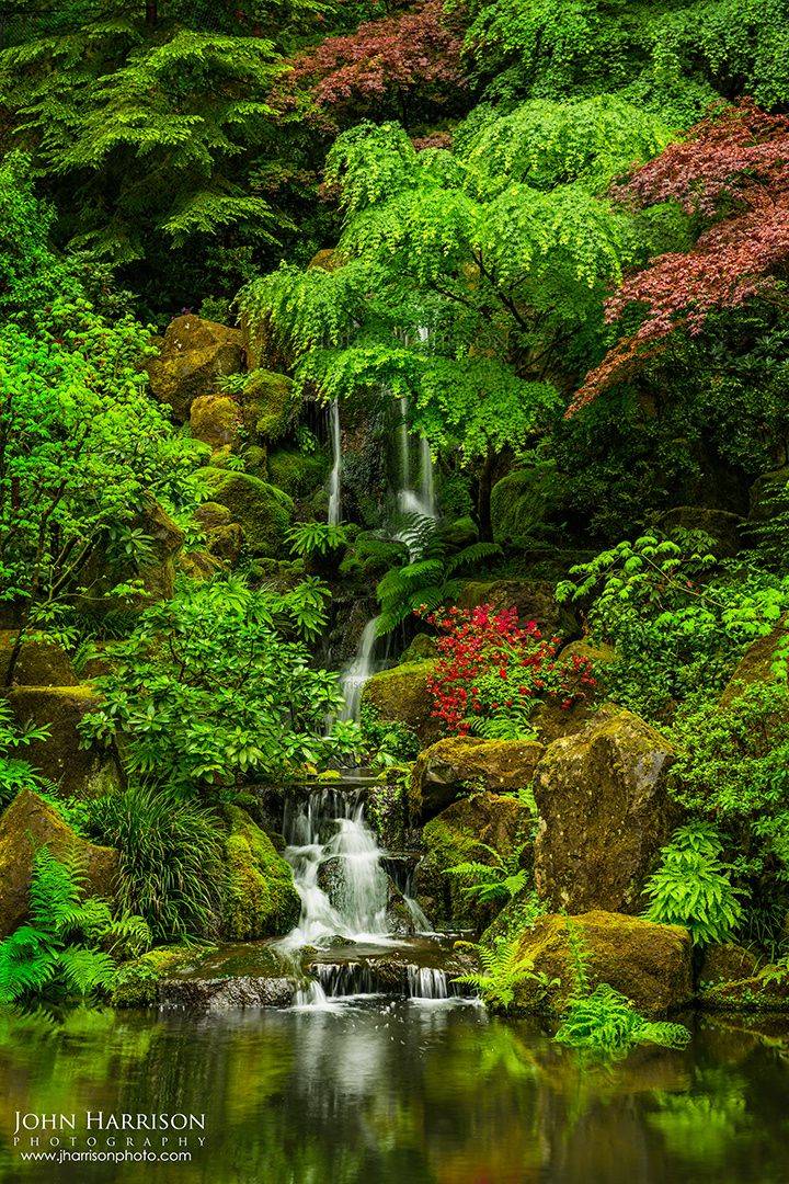 Japanese Garden Japanese Water Gardens