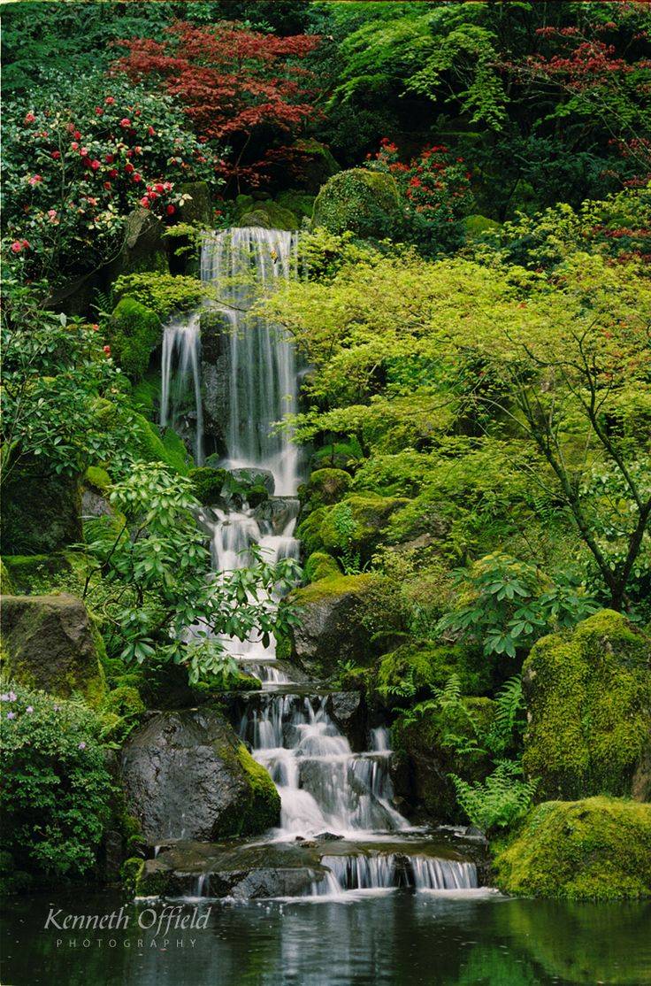 Tranquil Falls Japanese Zen Garden