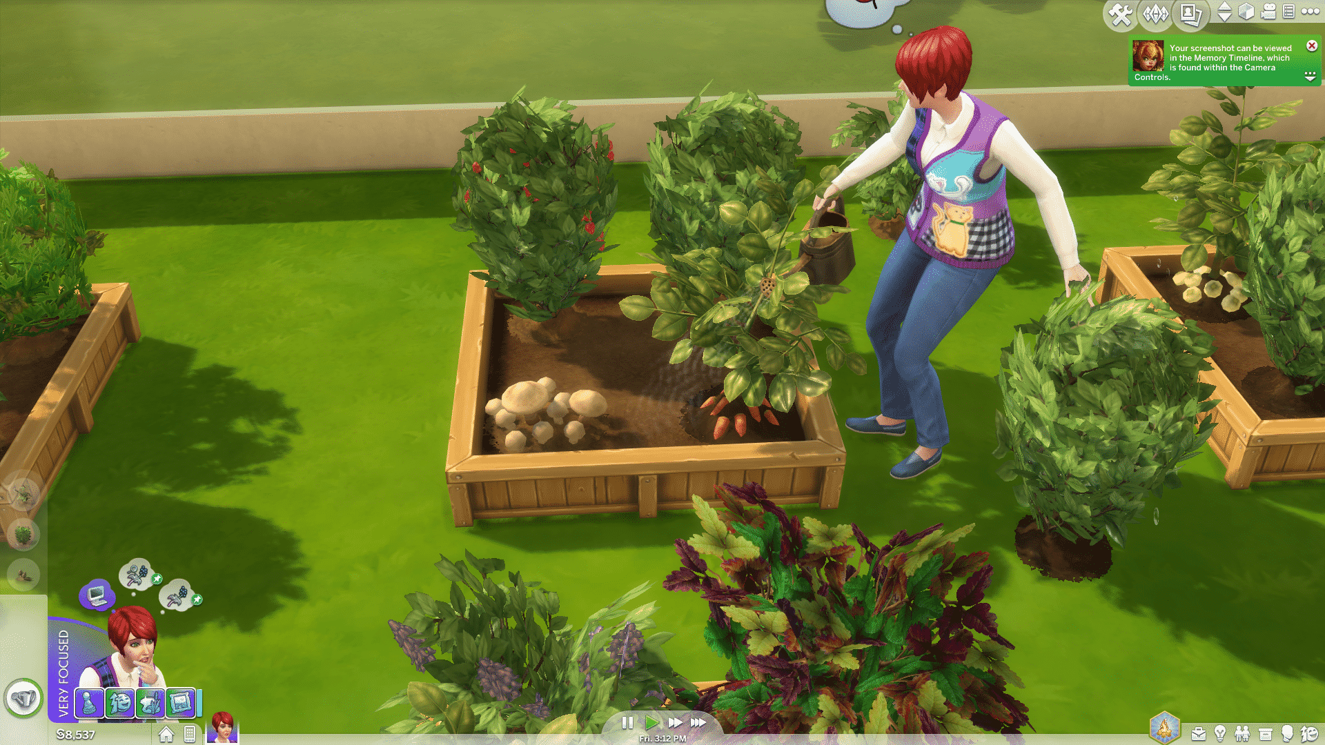 Small Garden