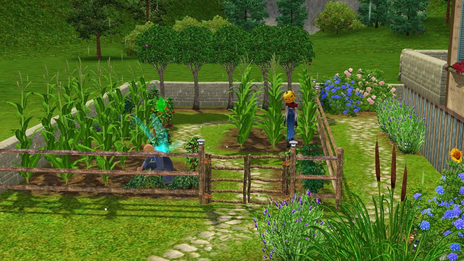 The Sims Backyard Stuff