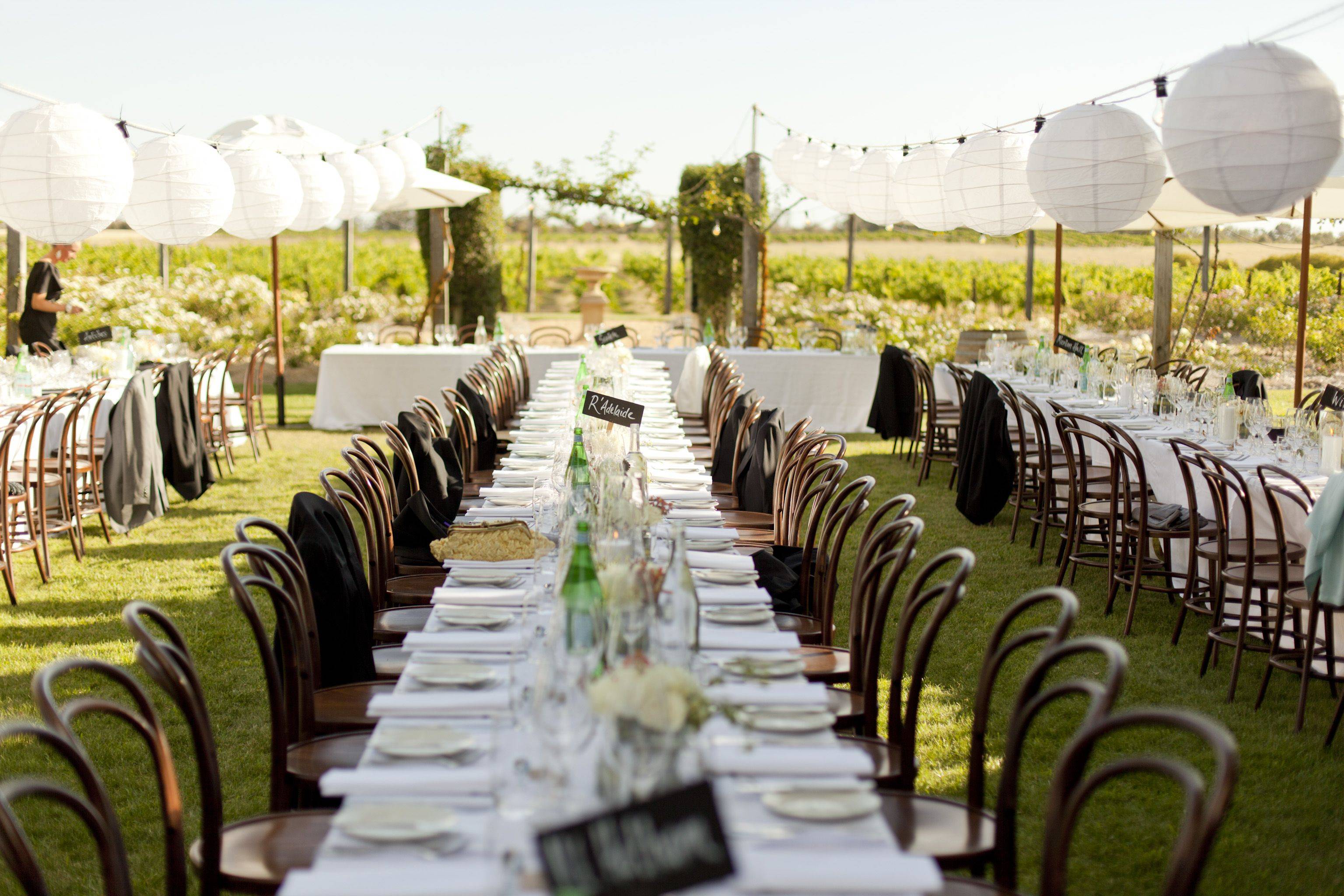 The Gladney Rose Garden