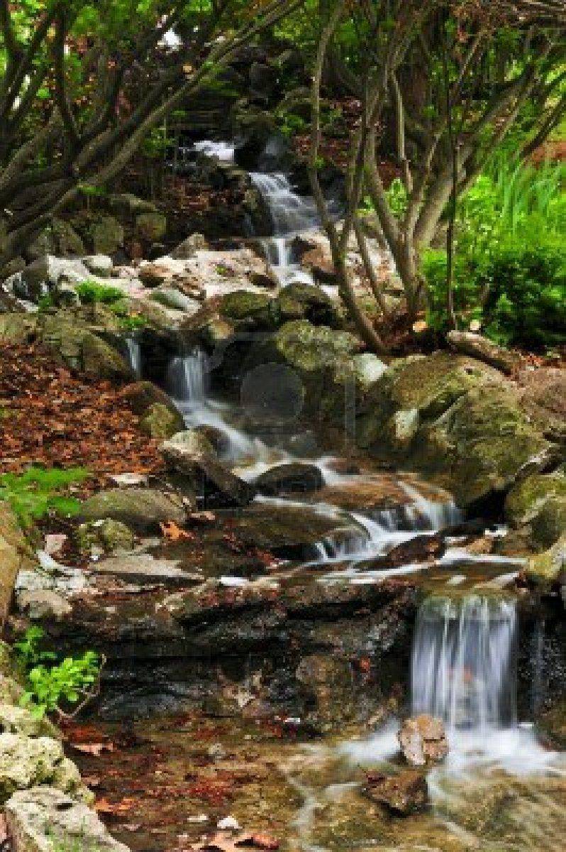 Water Garden Landscaping Ideas