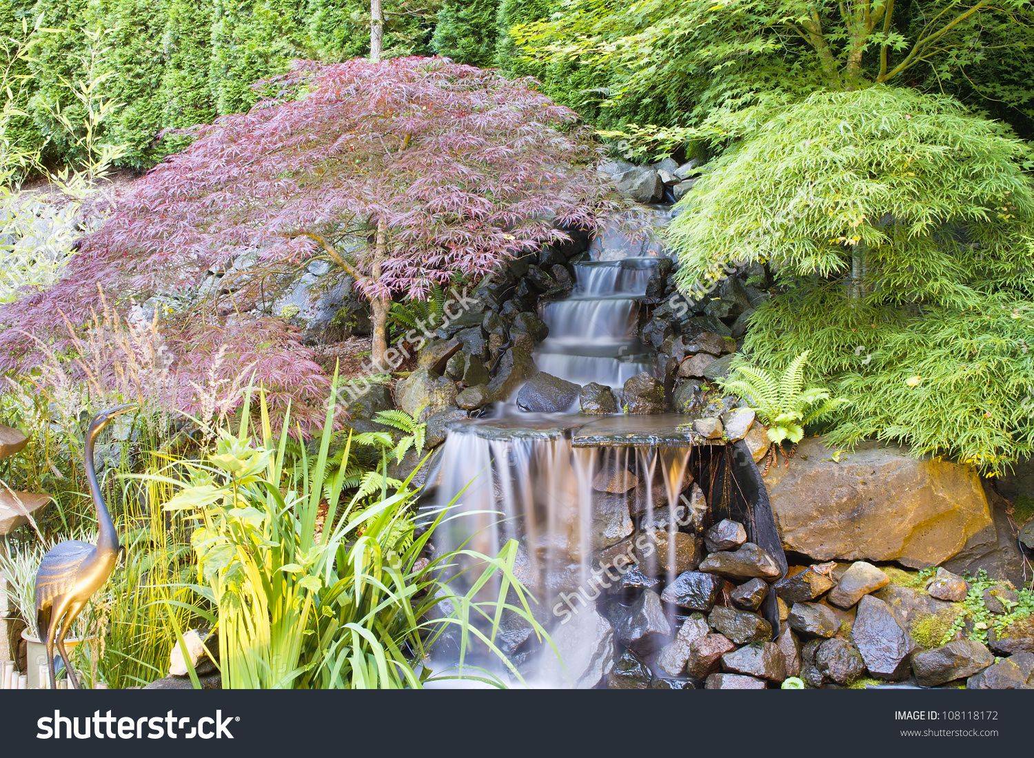 All About Japanese Maples