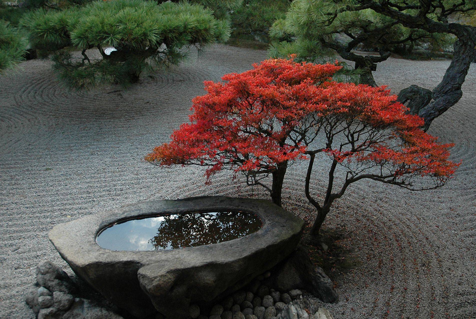 Garden Design Japanese Maple Garden Design Ideas Youtube