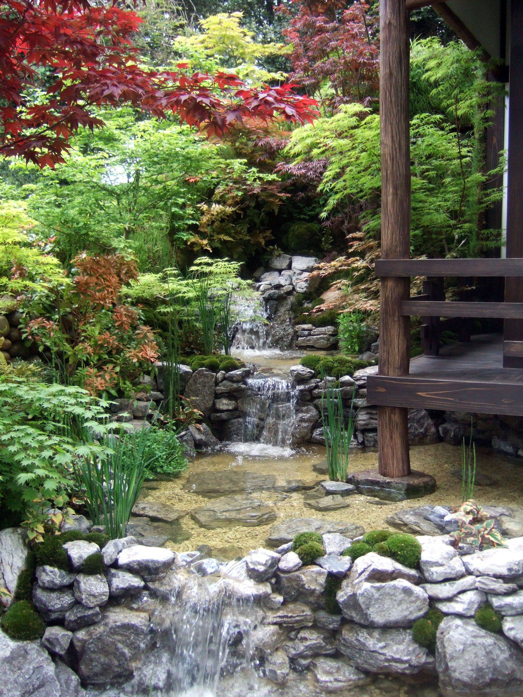 Japanese Garden Koi Pond