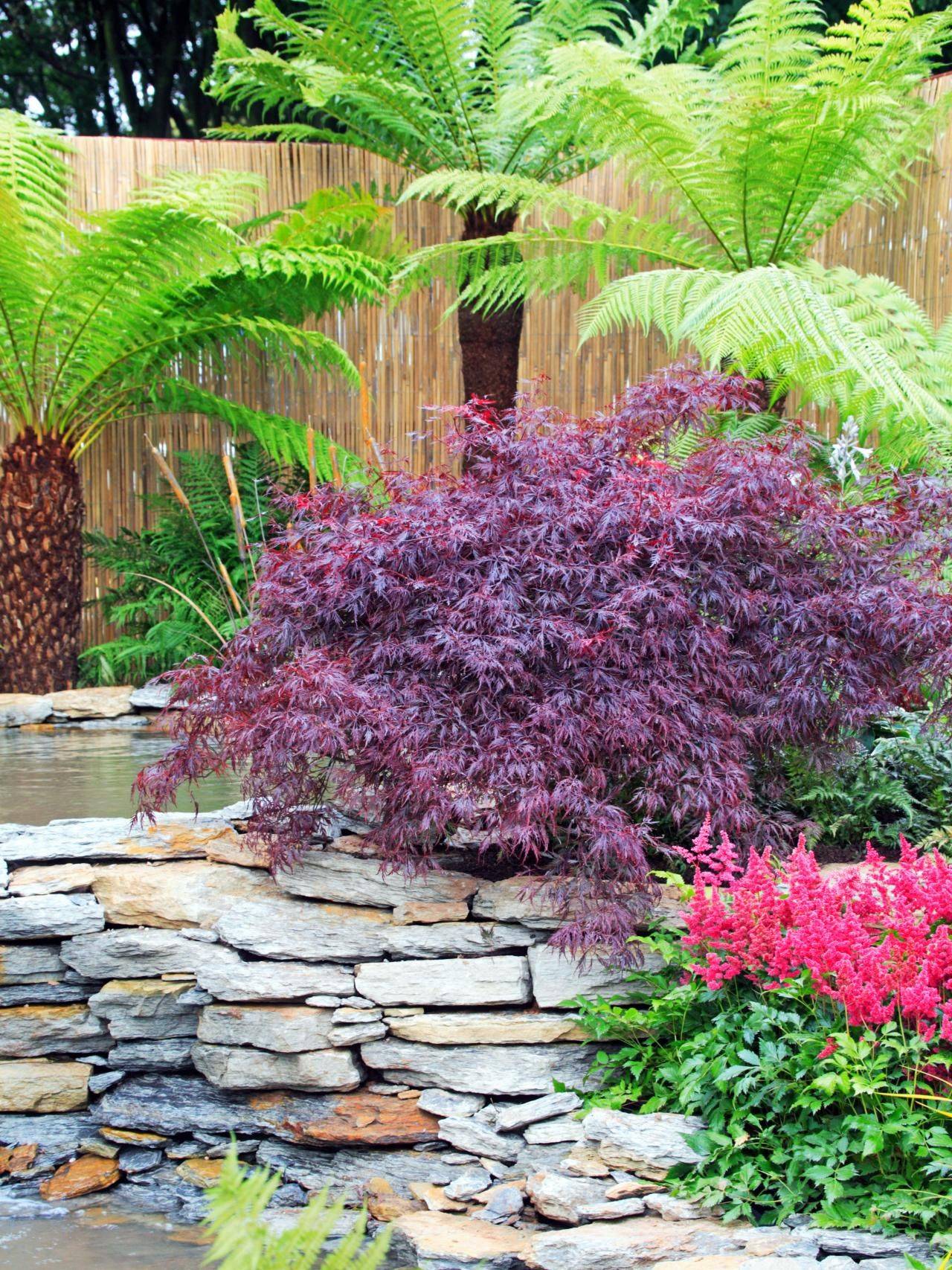 Japanese Garden Stone Basin Japanese Garden Landscape