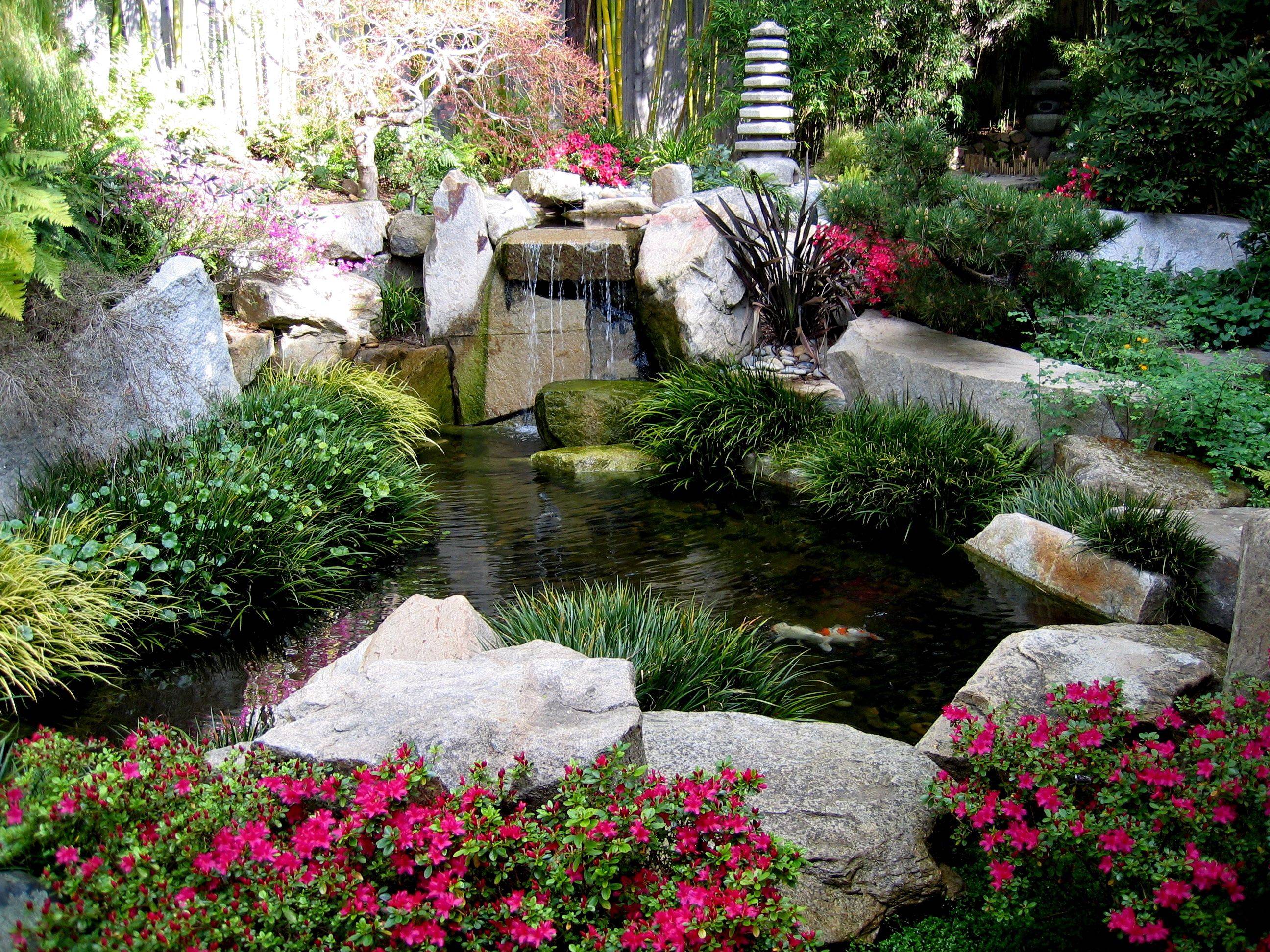 A Backyard Pond